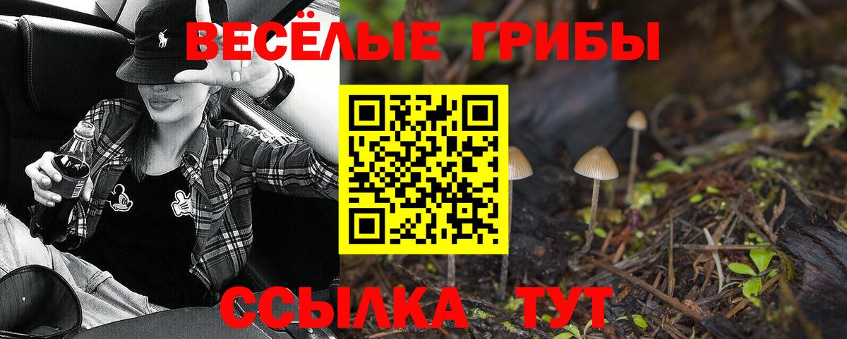 Канабис  A-PVP СК кристаллы  Вход с VPN  Трёхгорный  NBOMe  Кокаин  ГАШ  Мефедрон кристаллы 