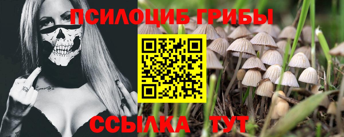 Галлюциногенные грибы GOLDEN TEACHER Трёхгорный